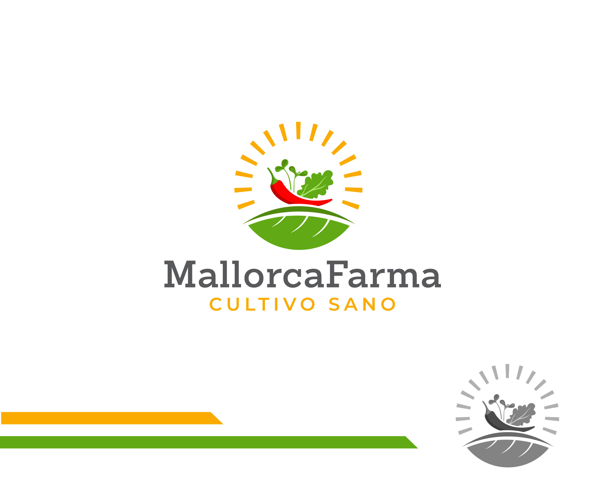 Diseño de Logo por ecorokerz para Leo Suizo S.L. | Diseño #31726252