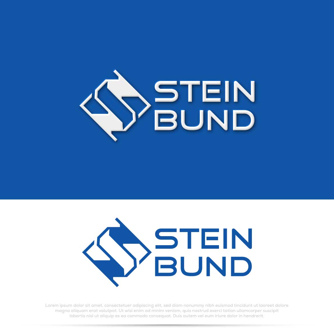 Logo Design by Pilot_DesignR™ for this project | Design #31731711