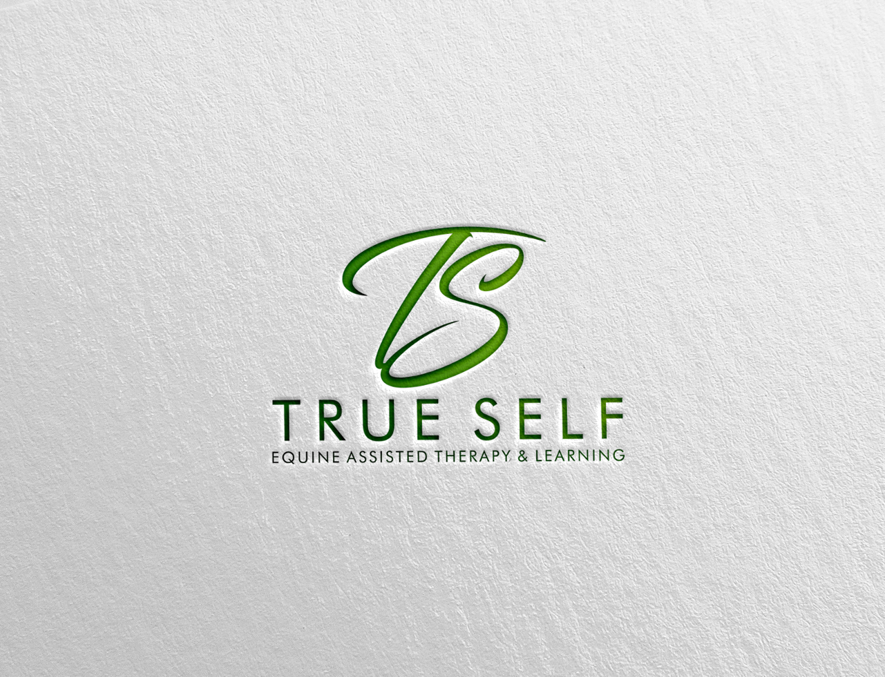 Logo Design by SteffySummer for this project | Design #31769976