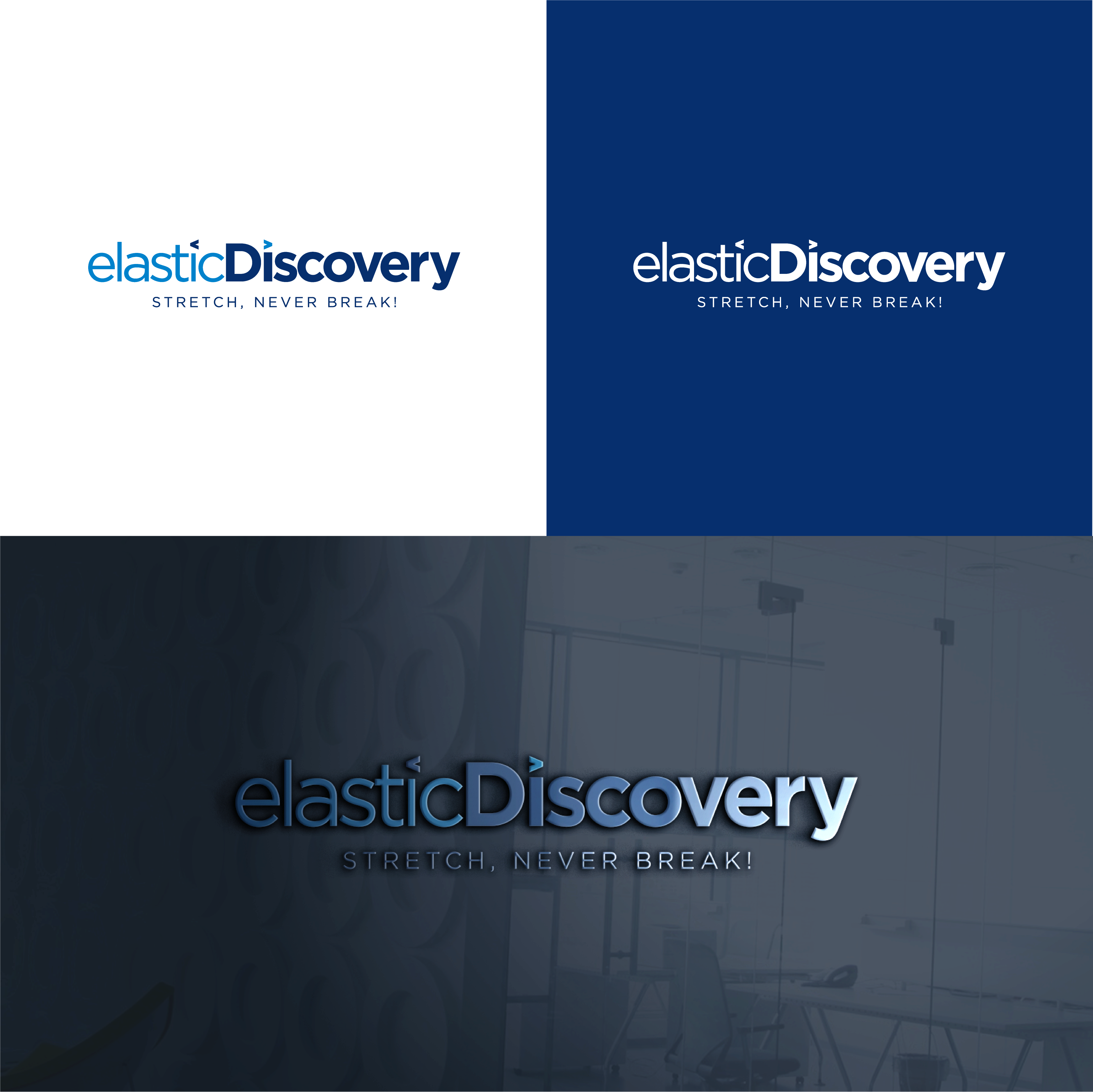 Logo Design by The Lion Studios for ElasticDiscovery LLC | Design #31744239