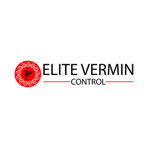 Logo Design by The Vectorize 