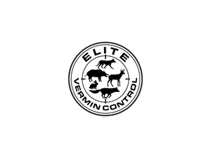 Logo Design by BNdesigner for this project | Design: #31751566