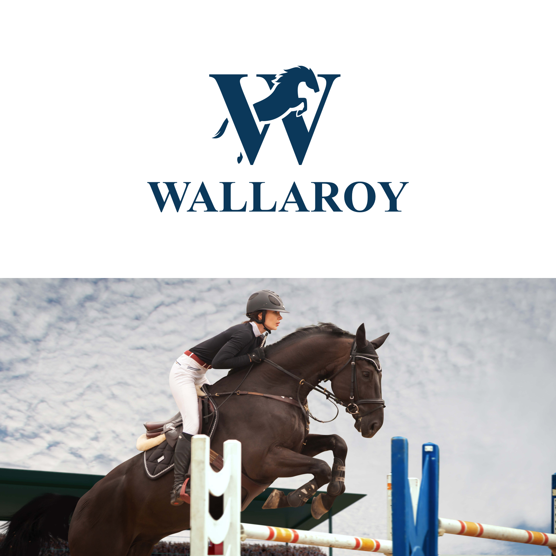 Logo Design by sabina aiko for this project | Design #31791833