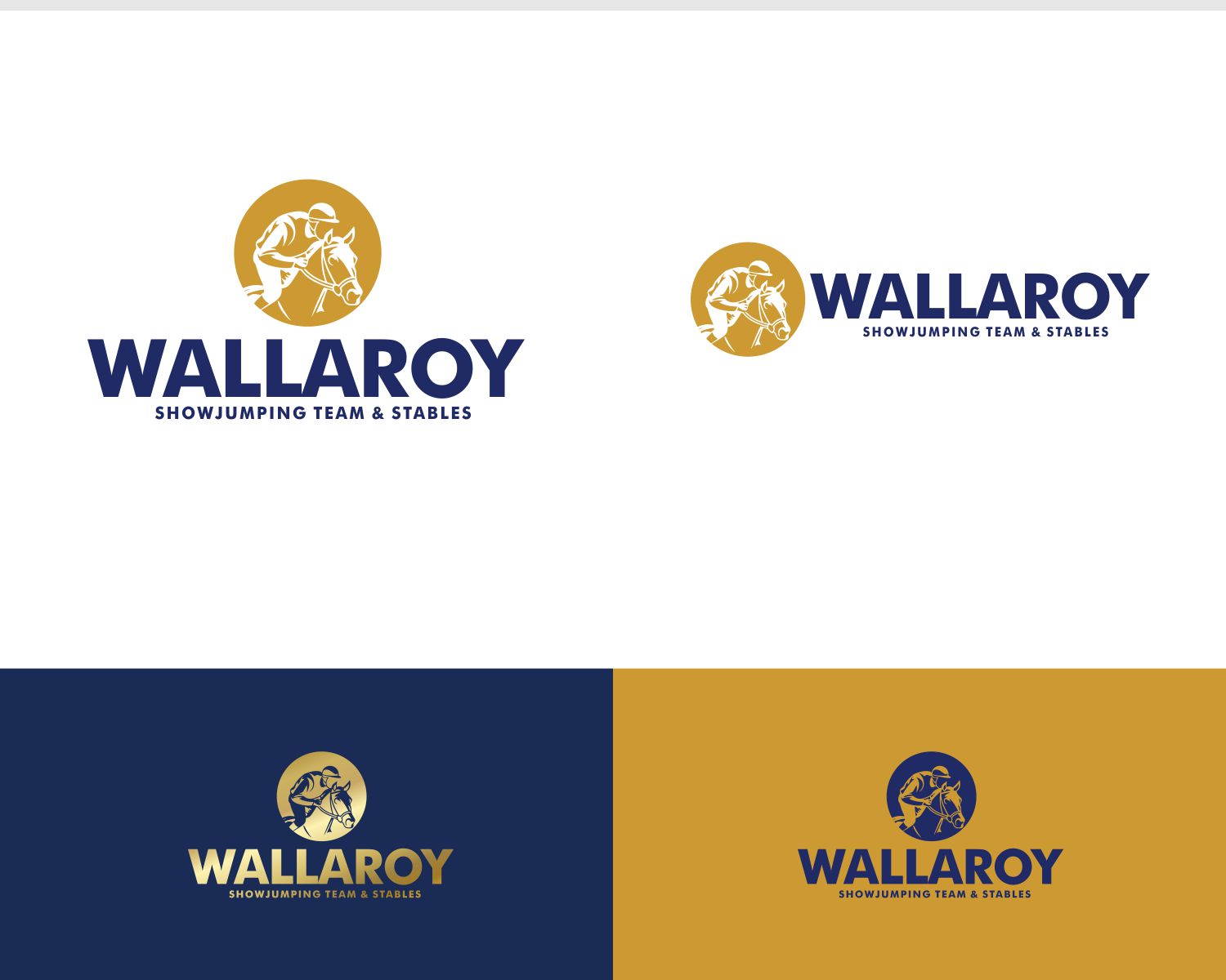 Logo Design by DesignMX (Renan Mejia) for this project | Design #31752167