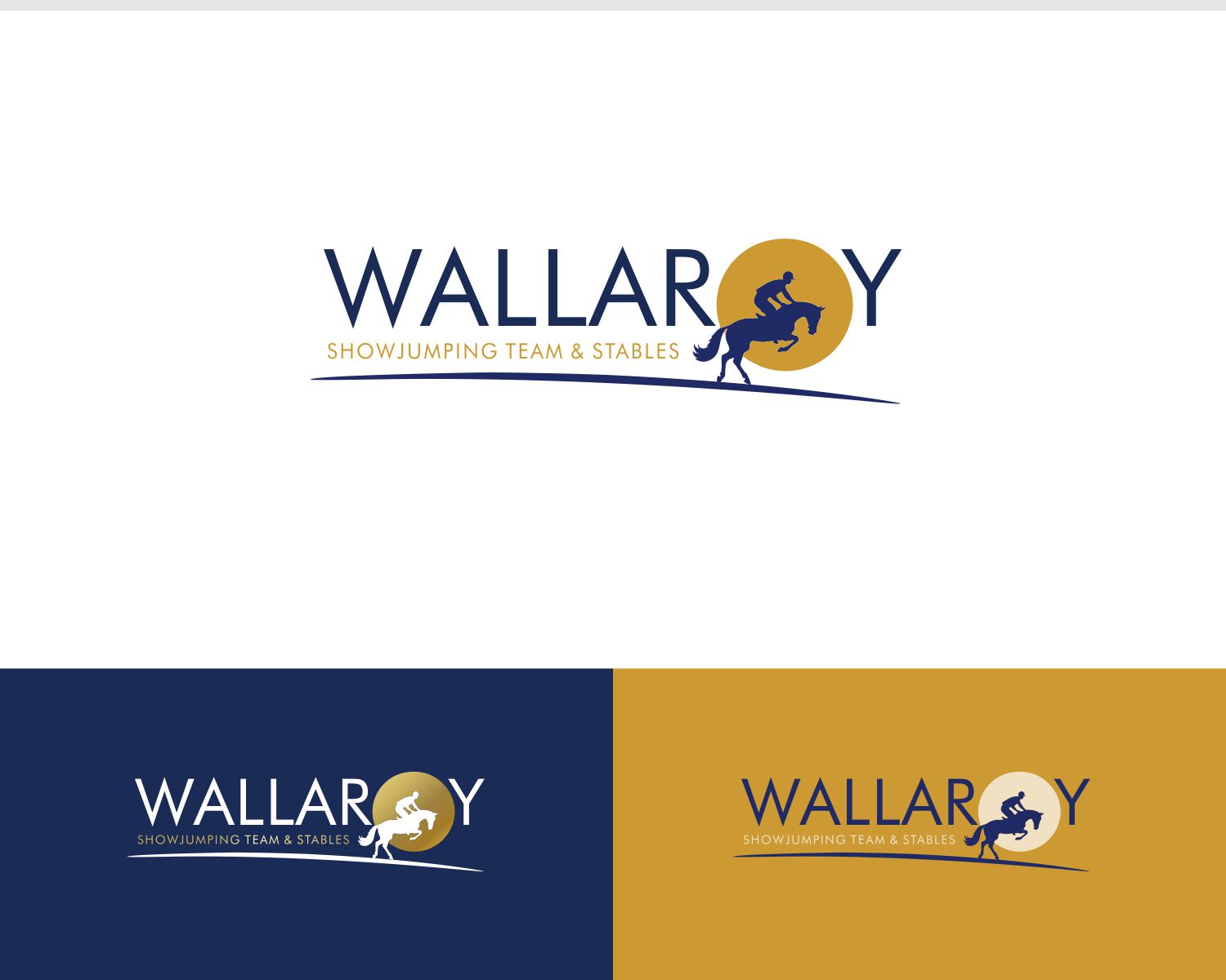 Design de Logo par DesignMX (Renan Mejia) pour ce projet | Design #31752169