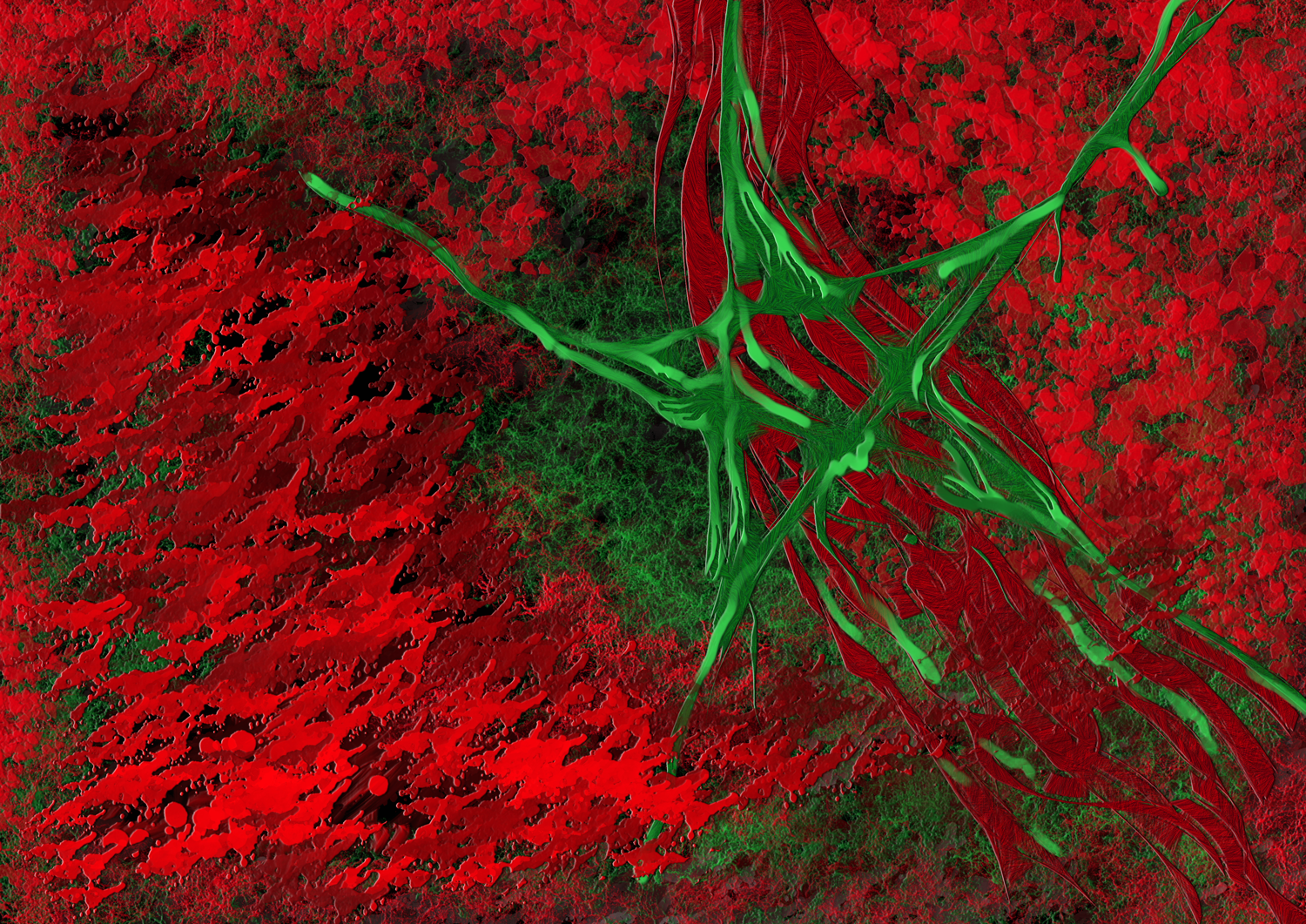 Design Illustration par vectoradics pour ce projet | Design #31784966