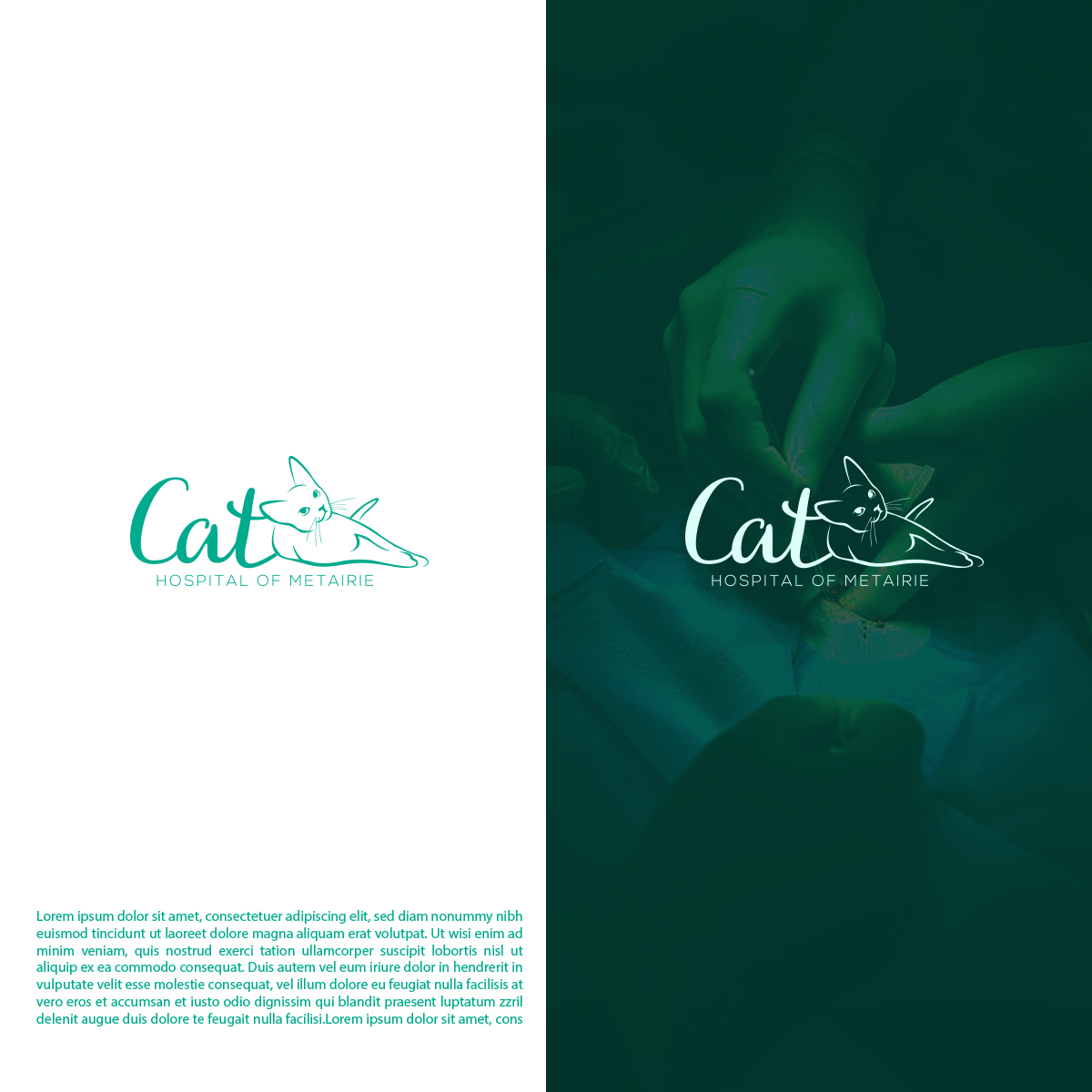 Logo Design by DesignSNW for Cat Hospital of Metairie | Design #31756918