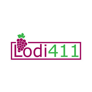 Logo Design by The Vectorize 