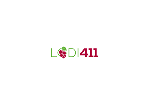 Logo Design by s41N