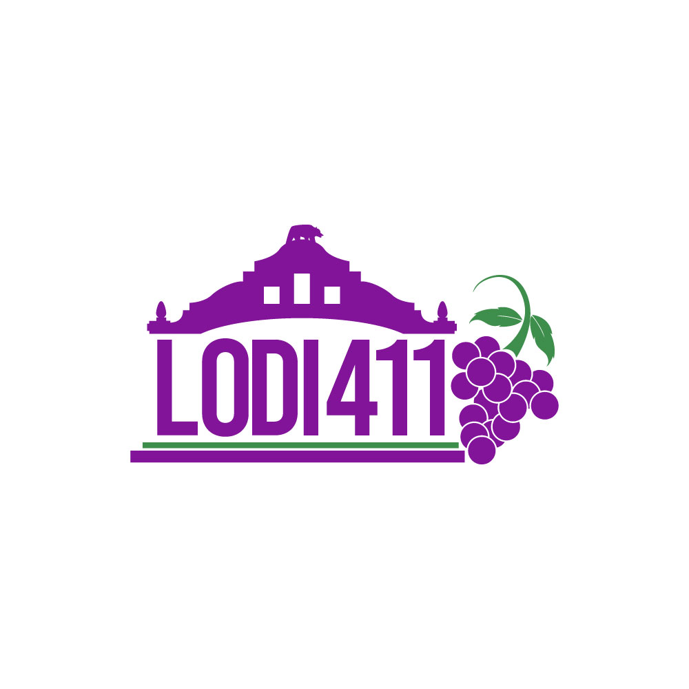 Logo Design by Ansh Design for this project | Design #31750807