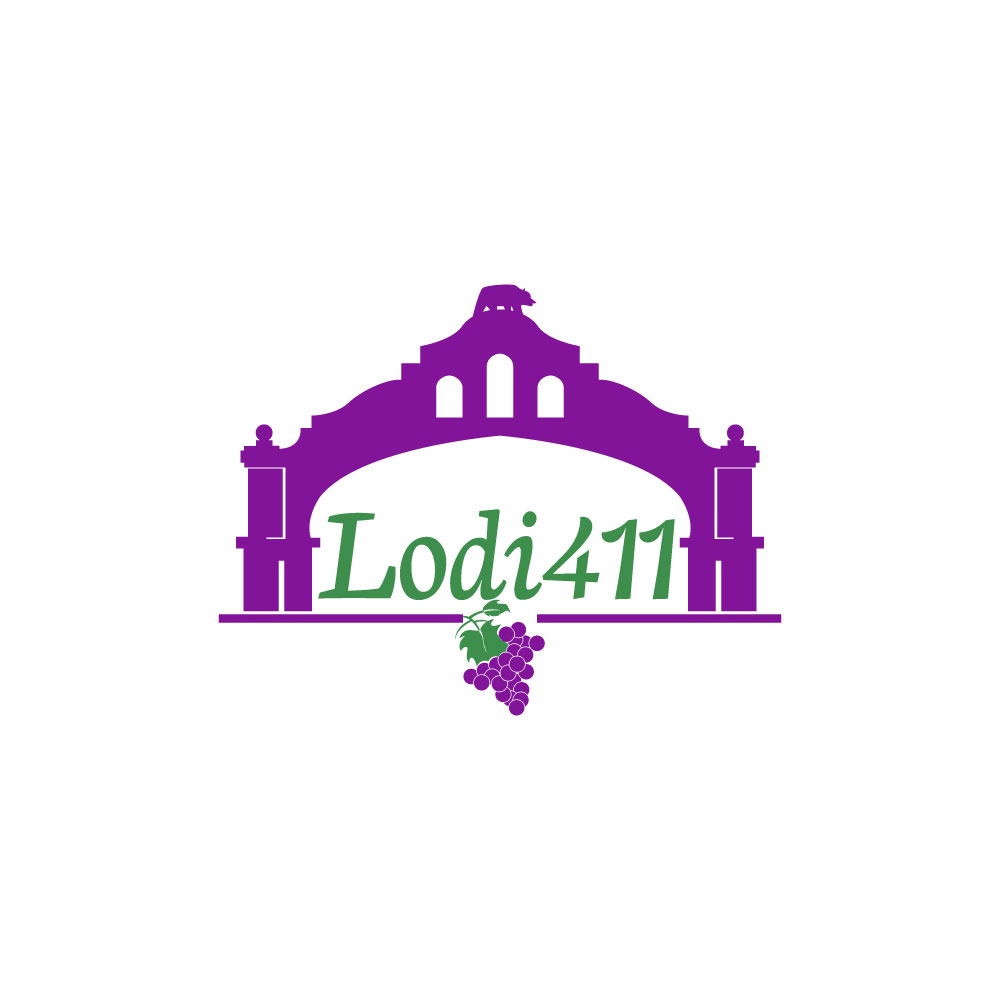 Logo Design by Ansh Design for this project | Design #31750809