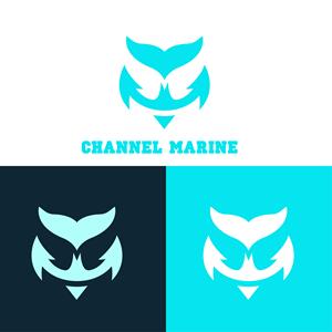 Logo Design by Ameer007