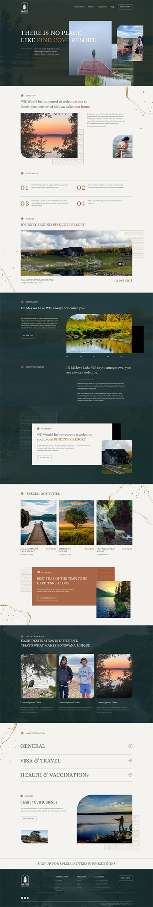 Web Design by Mohtasham H