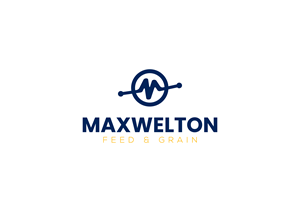 Logo Design by s41N
