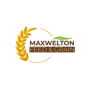 Logo Design by Muhammad Saud Hameed
