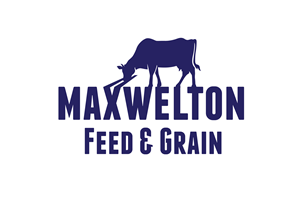 Logo Design by Grafactory for this project | Design: #31782486
