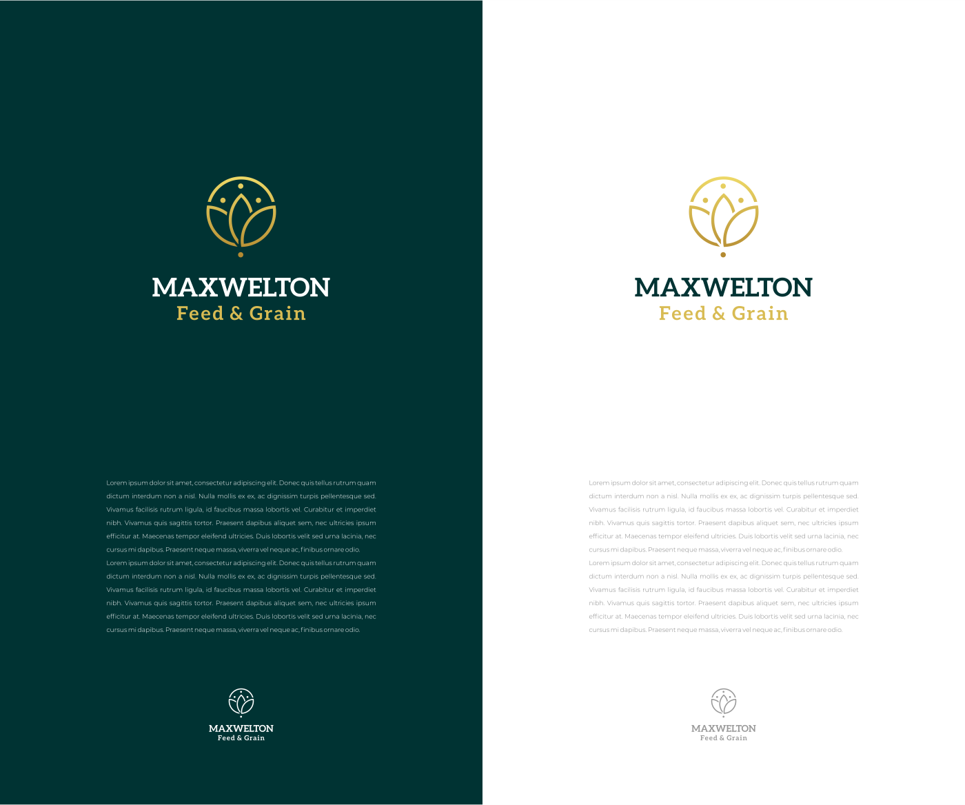 Logo Design by MishaDsign for this project | Design #31806308