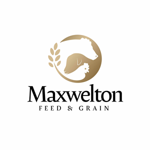 Logo Design by yudaharv for this project | Design: #31784482