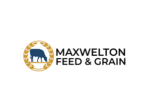 Logo Design by BNdesigner for this project | Design: #31779816