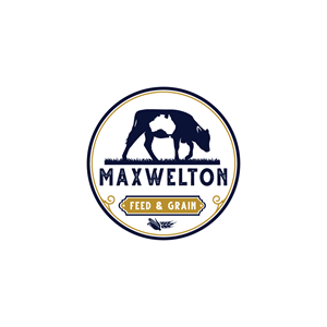 Logo Design by rashelraj517