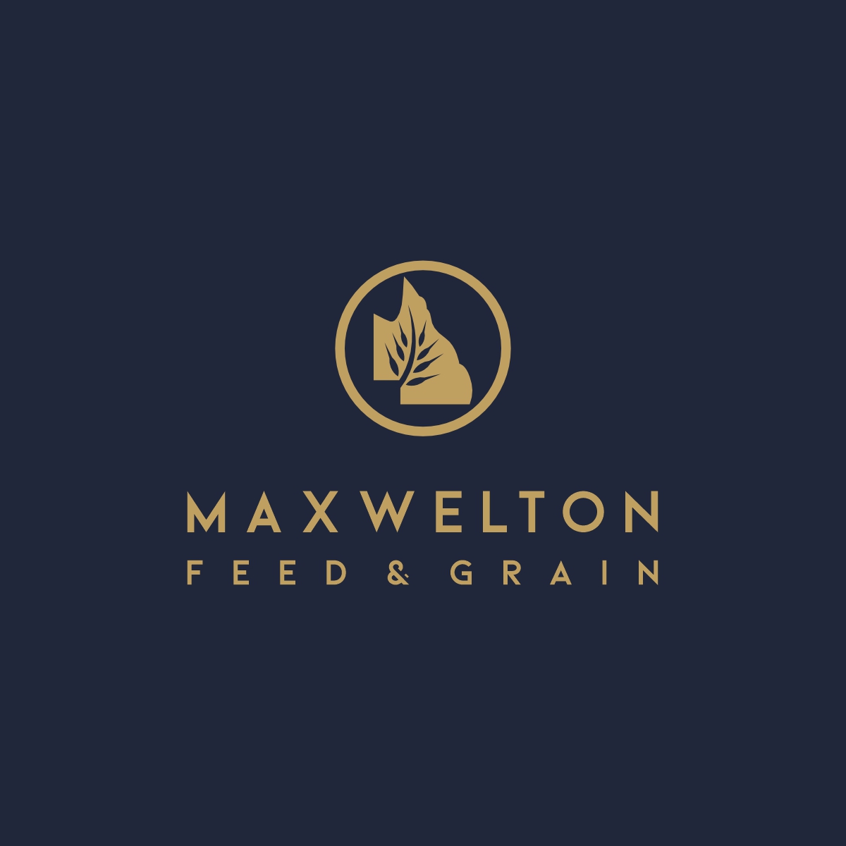 Logo Design by Ashani Bhattacharya for this project | Design #31765840
