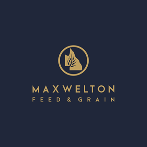 Logo Design by Ashani Bhattacharya for this project | Design: #31765840