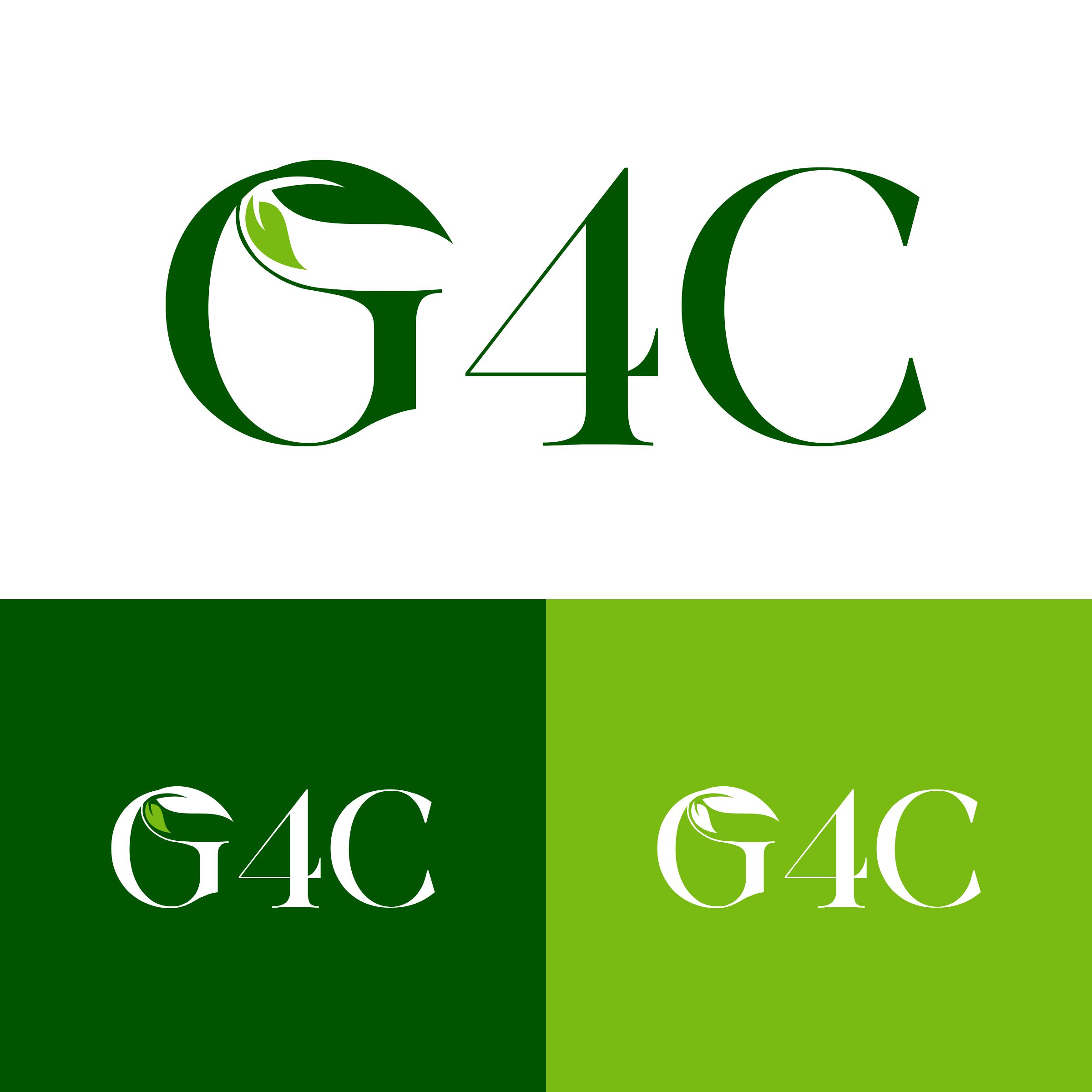 Diseño de Logo por creative.bugs para este proyecto | Diseño #31776322