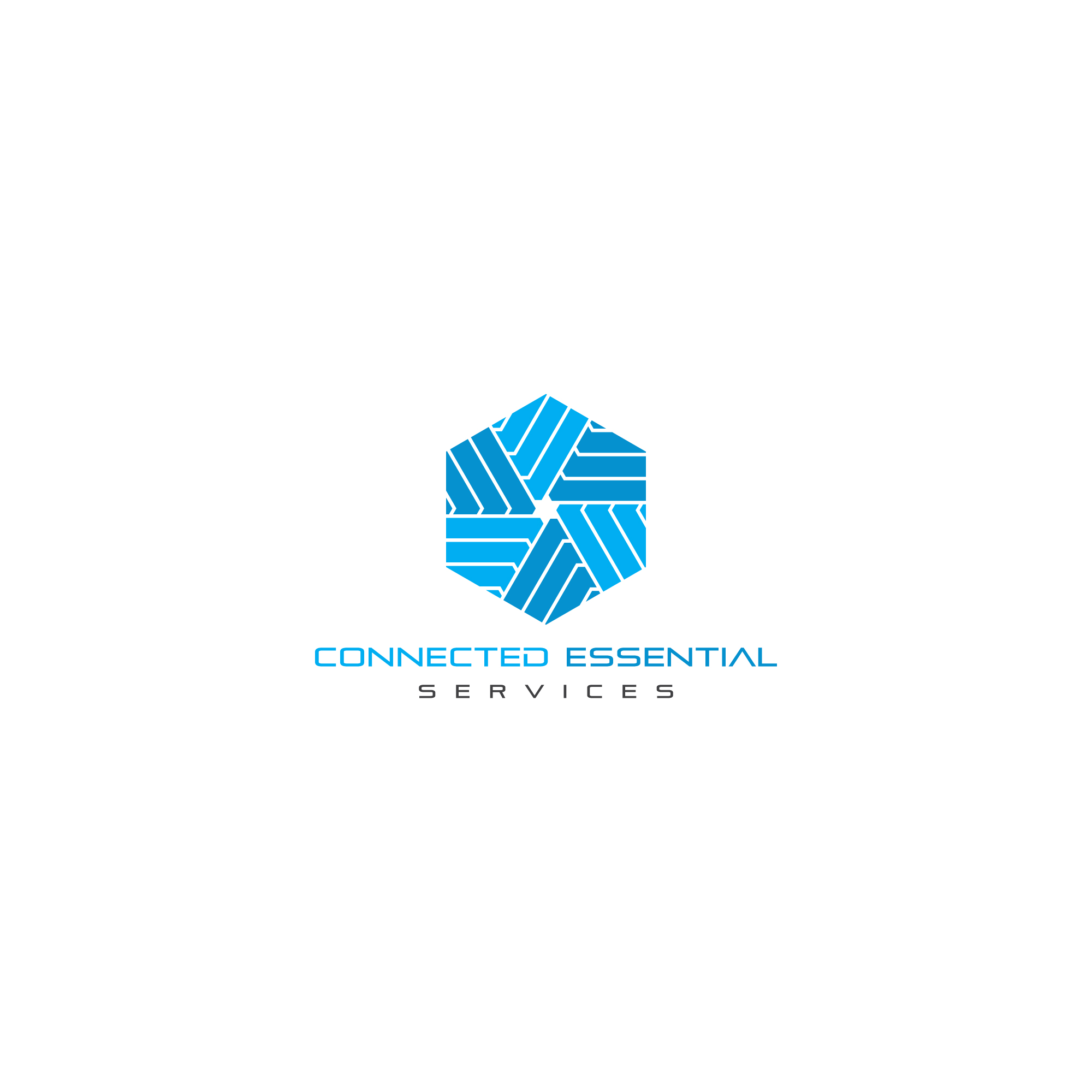 Logo Design by Krithik_Branding for this project | Design #31799694