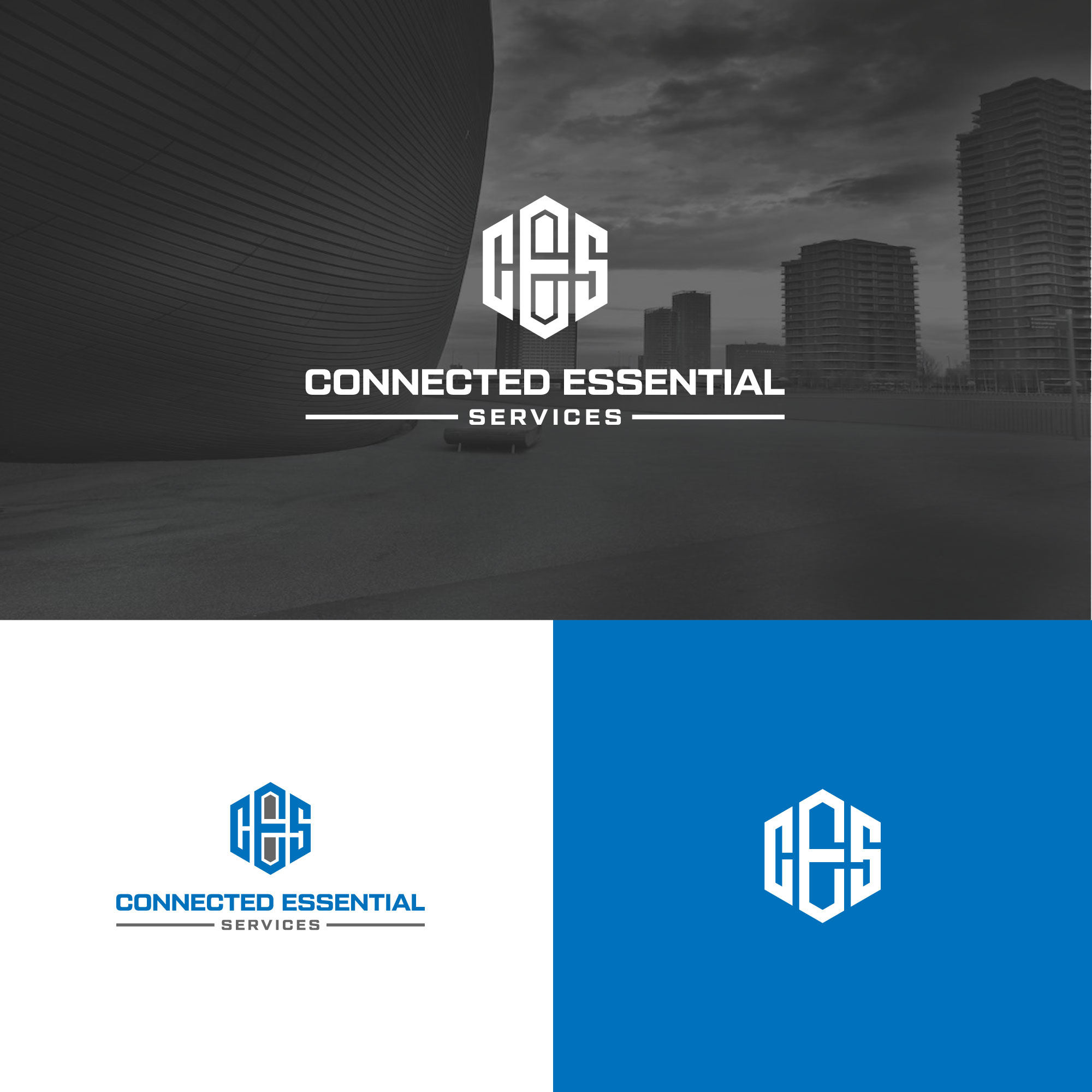 Diseño de Logo por A K A S H para este proyecto | Diseño #31882646