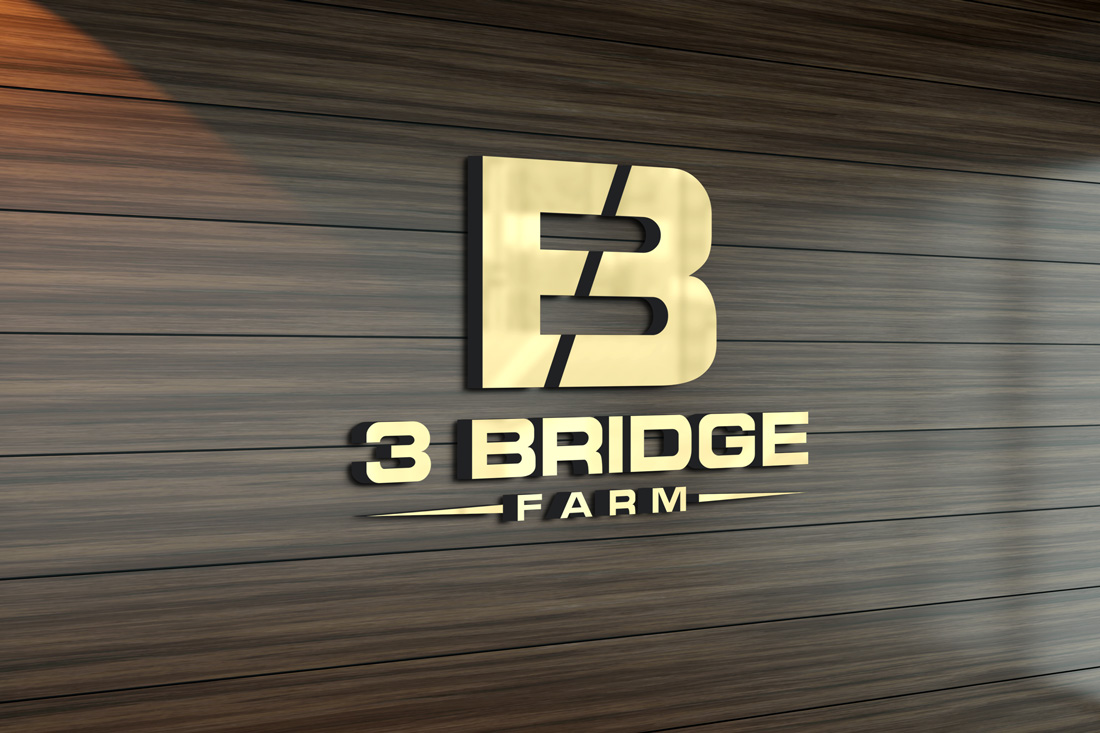 Logo Design by BE STRONG for this project | Design #31801727