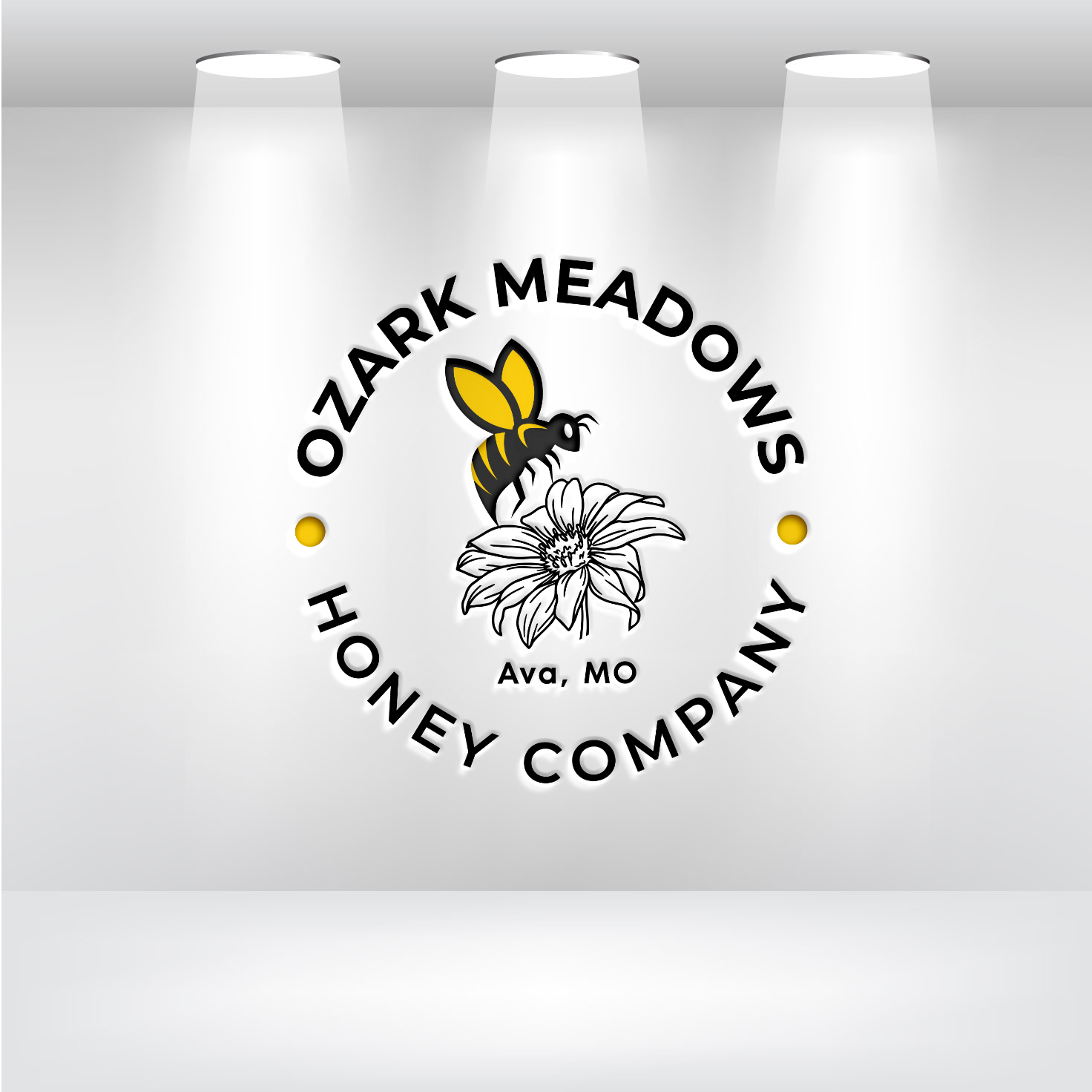 Logo Design by Innovative Graphix for this project | Design #31814007