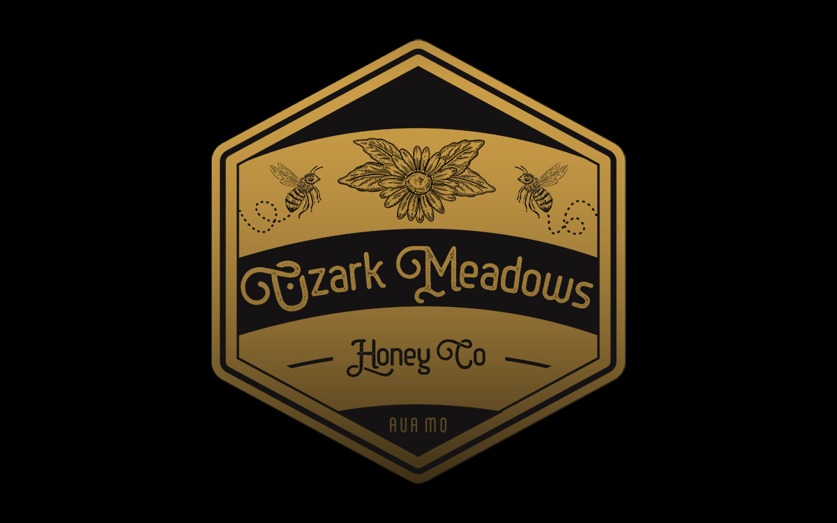 Logo Design by Zonda Studio for this project | Design #31814586
