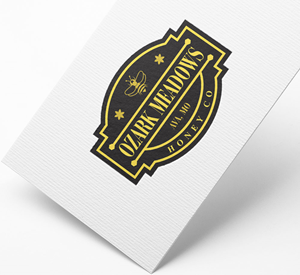 Logo Design by 4tech services for this project | Design: #31801654