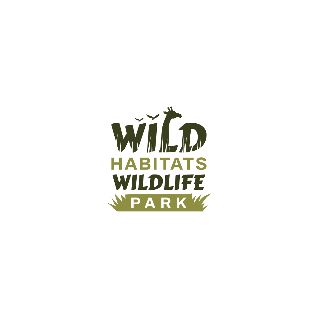 Logo Design by Jerwin Intac for this project | Design #31826624