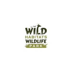 Logo Design by Jerwin Intac