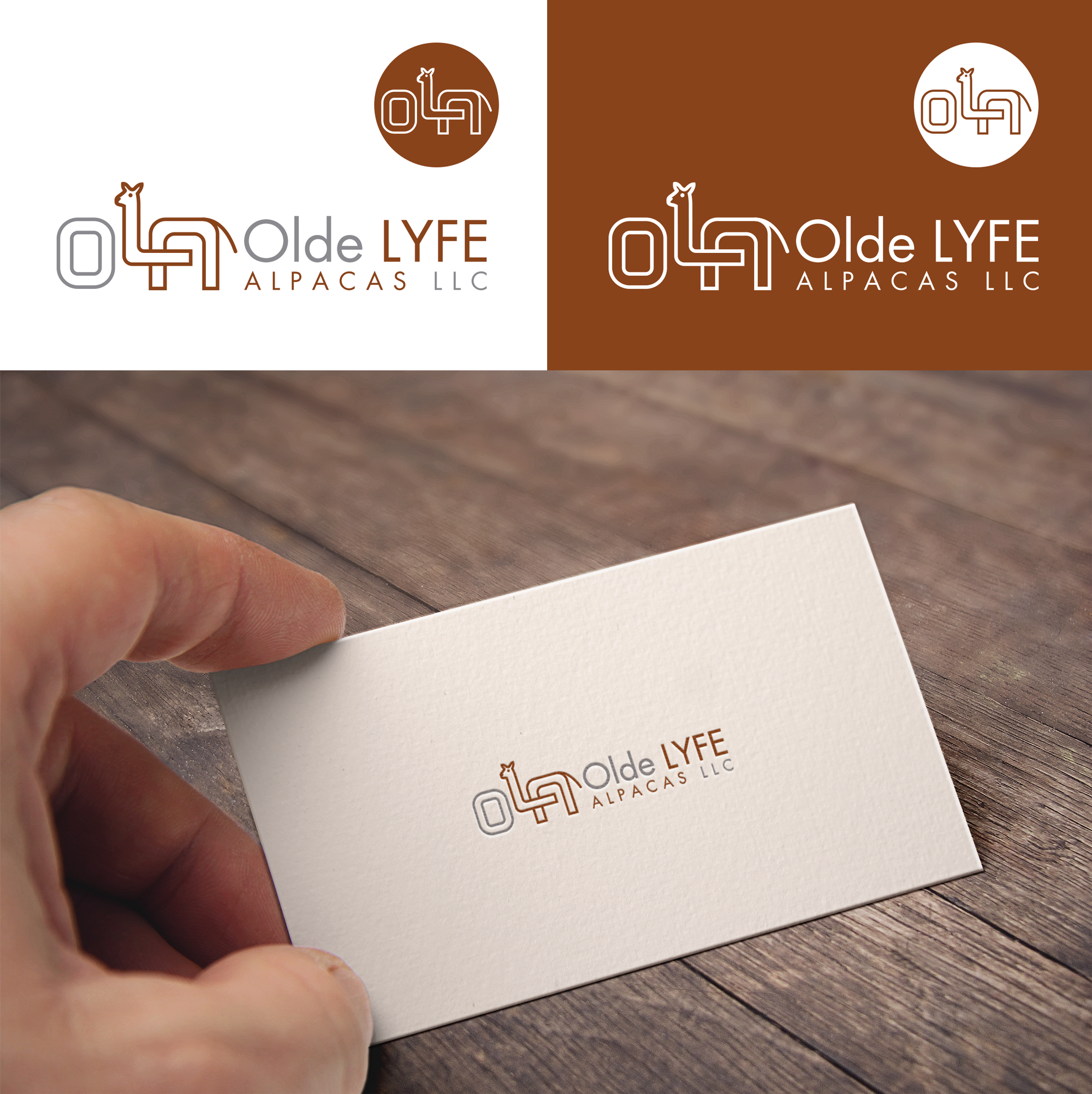 Diseño de Logo por RA-bica para este proyecto | Diseño #31828850