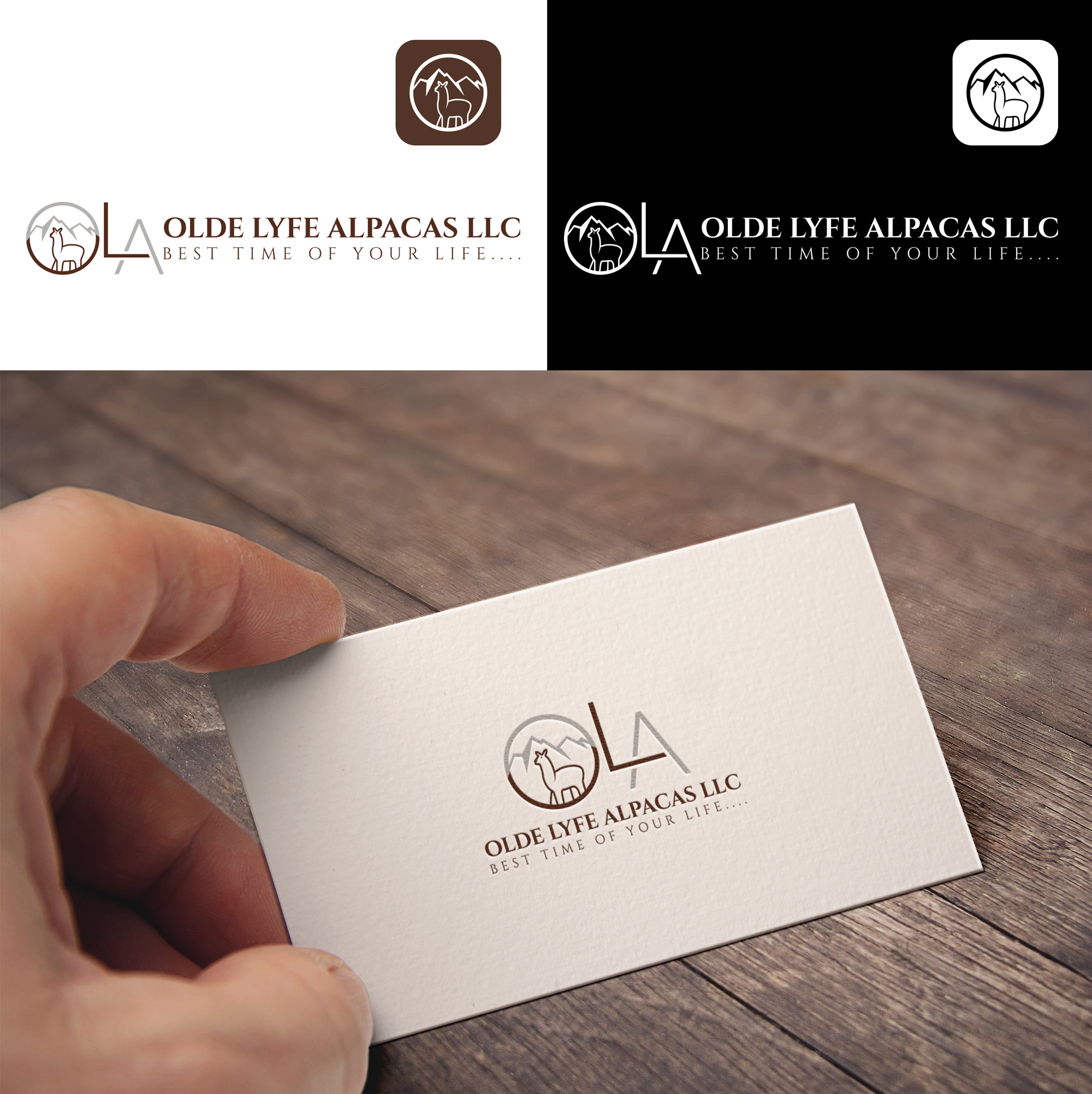 Logo Design by RA-bica for this project | Design #31828851