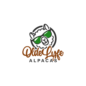 Logo Design by Alta Strata CS