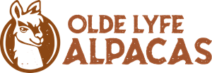 Logo Design by UniqDes1gn