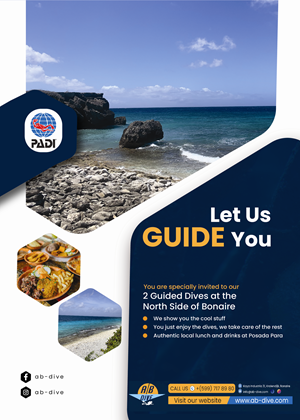Design de Flyer par Nel. pour AB Dive | Design : #31834827