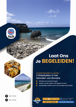Design de Flyer par Nel. pour AB Dive | Design : #31834828