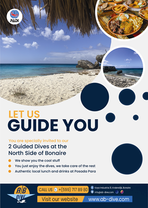 Flyer Design by Nel. for AB Dive | Design: #31834855