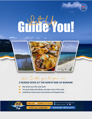 Flyer Design by Nel. for AB Dive | Design: #31834868