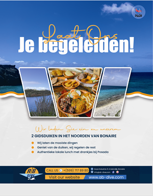 Flyer Design by Nel. for AB Dive | Design: #31834869
