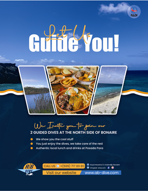 Flyer Design by Nel. for AB Dive | Design: #31834870