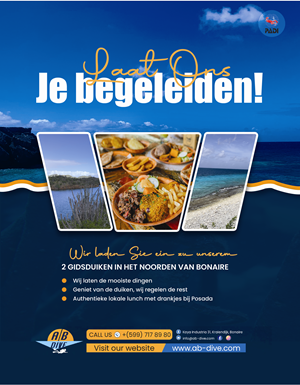 Flyer Design by Nel. for AB Dive | Design: #31834871