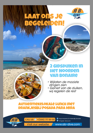 Flyer Design by Justice Smith for AB Dive | Design: #31829744