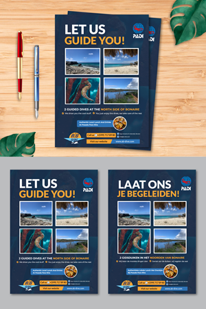 Flyer Design by Rifu Graphics for AB Dive | Design: #31834275