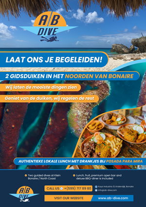 Design de Flyer par Hristo Itchov pour AB Dive | Design : #31826088