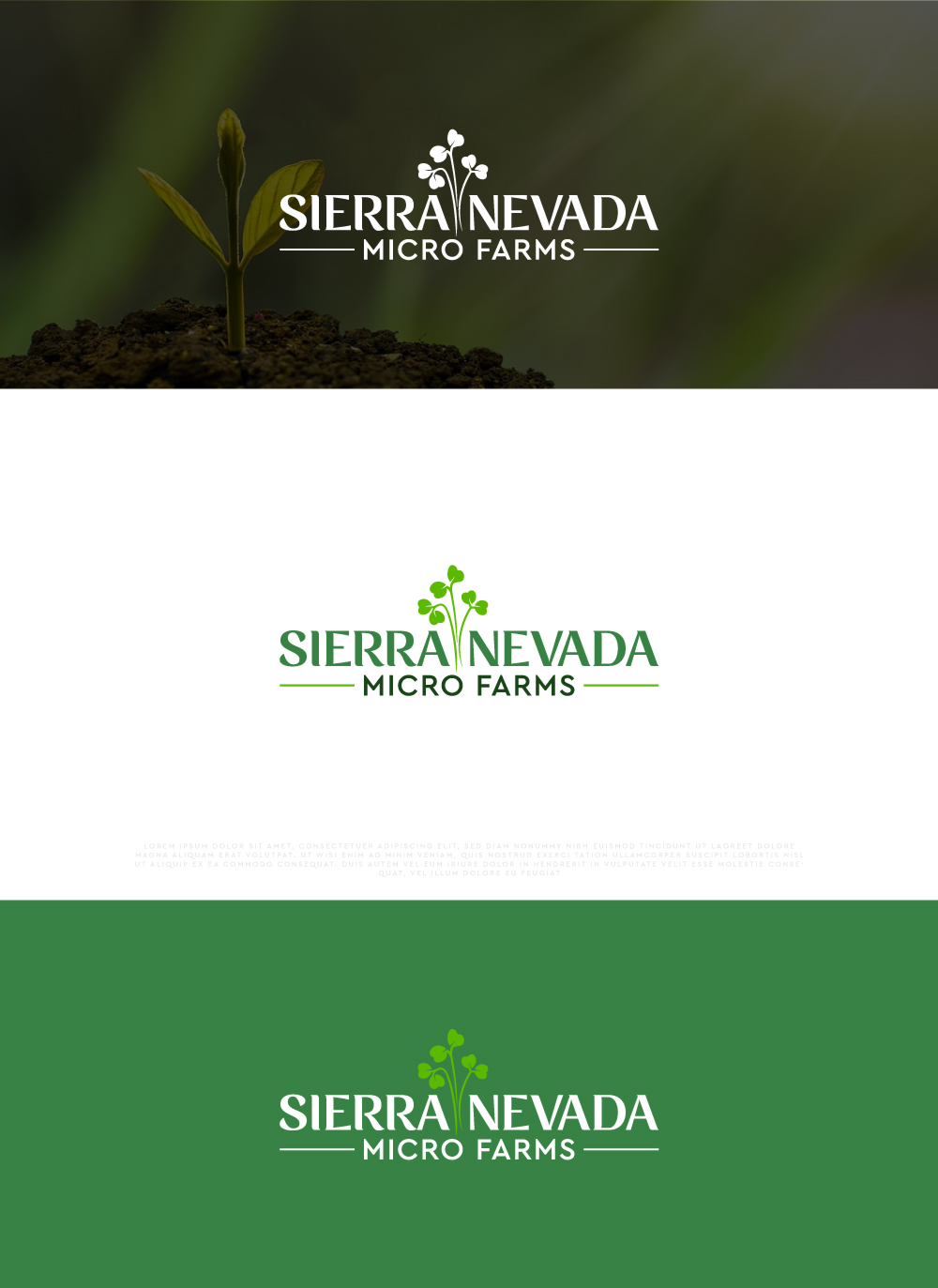 Diseño de Logo por Amethystica para este proyecto | Diseño #31834626